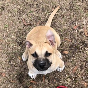 Meet your Posher, Perry